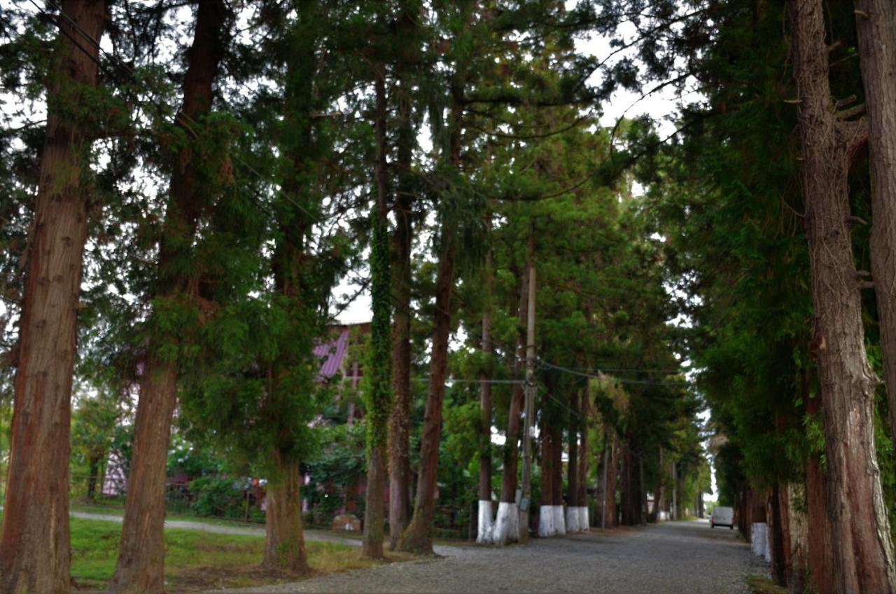 우레키 Maka B&B 외부 사진